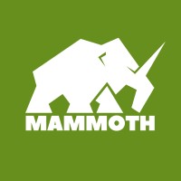 Mammoth Leadership & Organizational Development