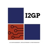 I2GP logo - Similar company to Digital Perspectives