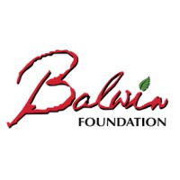 Balwin Foundation NPC logo - Similar company to Qwathi Electrical And Projects
