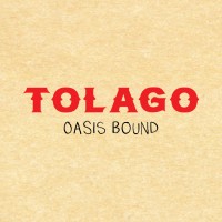 TOLAGO logo - Similar company to Paradise Media