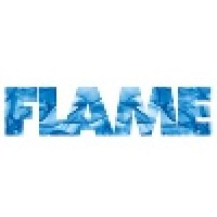 Flame Television Production Limited logo - Similar company to Euston Films Limited