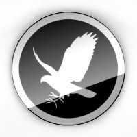 Falcontail Marketing & Design | Houston Texas USA logo - Similar company to Manheim Houston & Texas Hobby