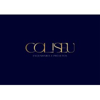 Coliseu Engenharia e Projetos logo - Similar company to Zero11 Imobi