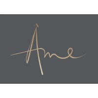 Âme Artistic Studio logo - Similar company to Lily Fleur