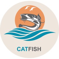 Catfish-USA Web Site Designs