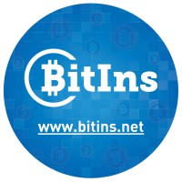 BITINS LIMITED logo - Similar company to Spetrol