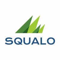 SQUALO UdeA logo - Similar company to Pronta Engineering