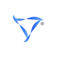 Vizlitics logo - Similar company to Addinex Technologies, Inc.