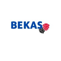 BEKAS - IQF food ingridients logo - Similar company to Mpi Fruit
