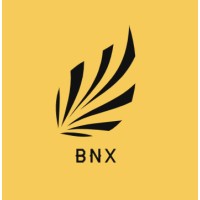 bnx studio logo - Similar company to Sobel Vision