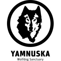 Yamnuska Wolfdog Sanctuary logo - Similar company to Mountain Obsession