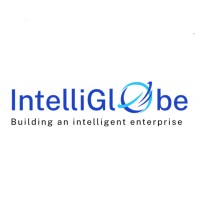 IntelliGlobe logo - Similar company to Webdev Technology