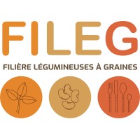 FILEG Occitanie logo - Similar company to Pas Perdu