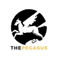 Team The Pegasus logo - Similar company to The Interceptors