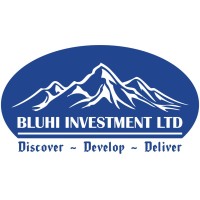 Bluhi Enterprises Ltd
