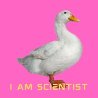 I am Scientist logo - Similar company to Sfrr-E