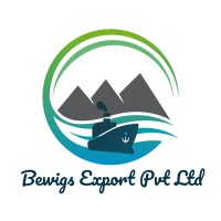 Bewigs Export Pvt Ltd logo - Similar company to Squirrel Export Pvt Ltd