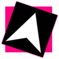 TrueNorth Solutions logo - Similar company to Nova Intelligence