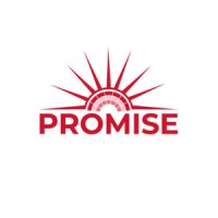 PROMISE logo - Similar company to Transitproject