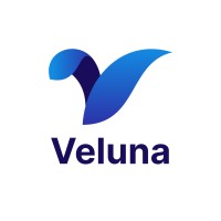 Veluna logo - Similar company to Memiq