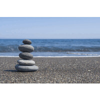 Serene Solutions logo - Similar company to Harvestrolley