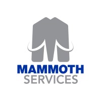 Mammoth Services logo - Similar company to Mps
