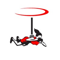 Aerial Innovations, Inc. logo - Similar company to Tulsa Drone Guy