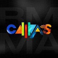 Creative Alliance Of Multimedia And Visual Arts Students