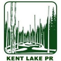 Kent Lake PR LLC logo - Similar company to Buzz