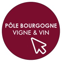 GIP PÔLE BOURGOGNE VIGNE ET VIN logo - Similar company to Iuvv • Institut Jules Guyot
