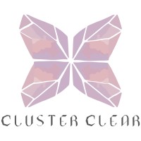 CLUSTER CLEAR EVENTS LLC. logo - Similar company to Being Posh Events Llc
