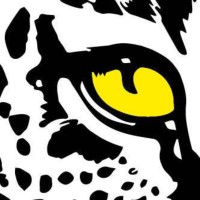 The Presence Group logo - Similar company to Wcs Group B.V.