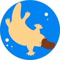 Duckbill Network Technology Co.,Ltd. logo - Similar company to Duckbill Network Tech