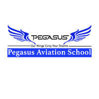 Pegasus Aviation School logo - Similar company to Air Frontier Pty Ltd