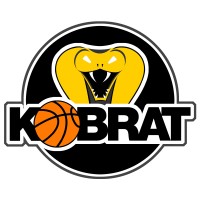 Kobra-Basket ry logo - Similar company to Daqlog Systems Ltd