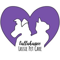 Tallahassee Lassie Pet Care logo - Similar company to Association Of Fundraising Professionals Florida Big Bend Chapter