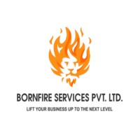 Bornfire Services logo - Similar company to Global Business Financial Consulting