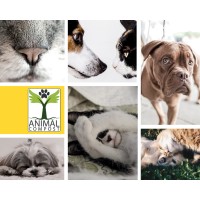 The Garden of Life logo - Similar company to Rein Defense