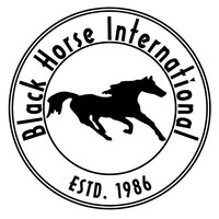 Black Horse International logo - Similar company to Aylla