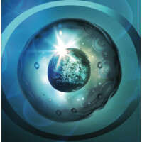Liveyon LLC logo - Similar company to Restem