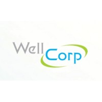 Wellcorp Health Services Pvt.Ltd. logo - Similar company to Wellcorp