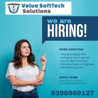 Value SoftTech Solutions logo - Similar company to Brainy Softtech Solutions