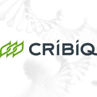 CRIBIQ logo - Similar company to Pôle De Recherche Et D'Innovation En Matériaux Avancés Du Québec (Prima Québec)
