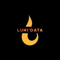 Lumi'data logo - Similar company to Mode, 3D Addons For Ecommerce