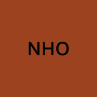 NHO logo - Similar company to Studio Prineas