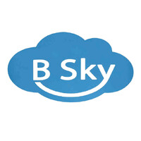 B Sky Native and Modified Tapioca Starch logo - Similar company to The Seven Elements
