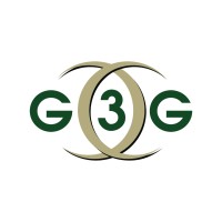 The Gemini 3 Group, Inc. logo - Similar company to The Gemini-International