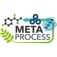 MetaProcess logo - Similar company to Metaprocess