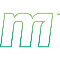 Metazet Polska logo - Similar company to Punk Electric