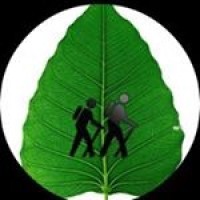 Trip Alfresco logo - Similar company to Nextworkx Gmbh